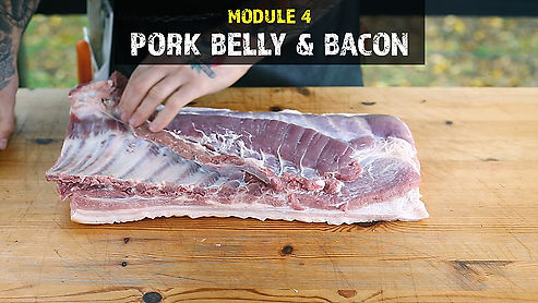 Mod4_Pork Belly & Bacon